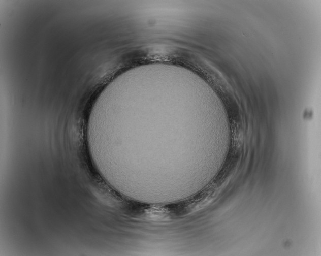 X0000103290603200809191832