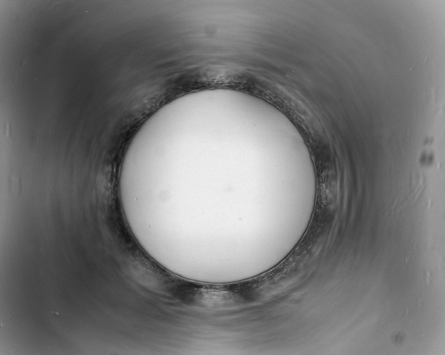 X0000103290605200809191832