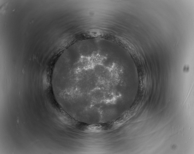 X0000103290606200809191832