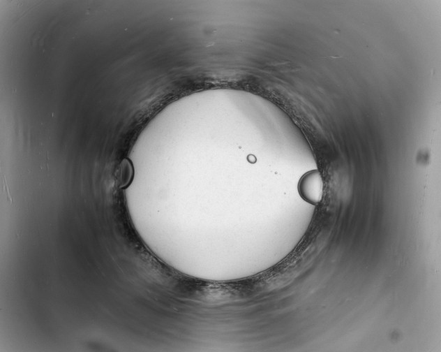 X0000103290608200809191832