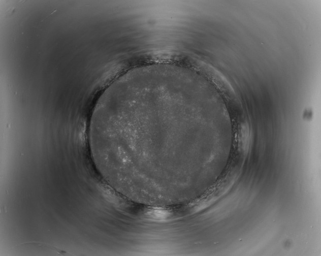 X0000103290610200809191832