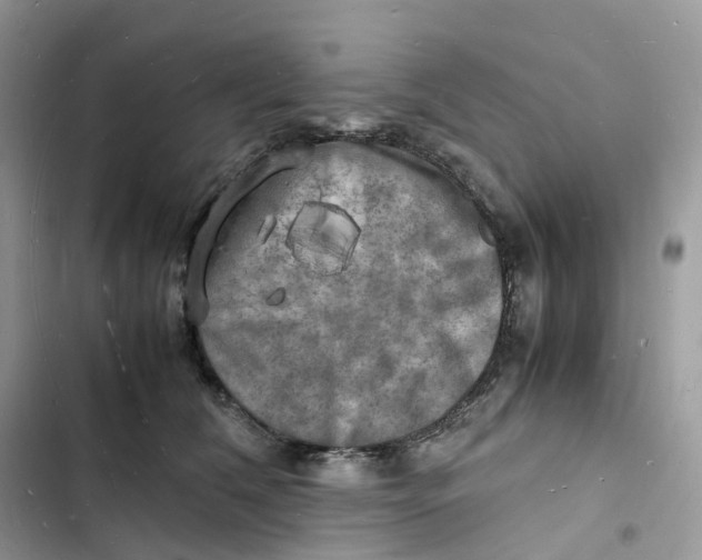 X0000103290612200809191832