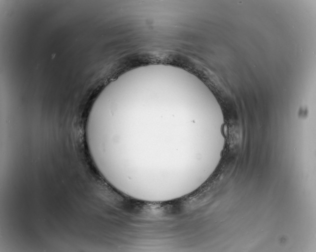 X0000103290613200809191832