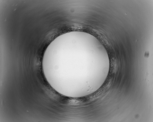 X0000103290614200809191832