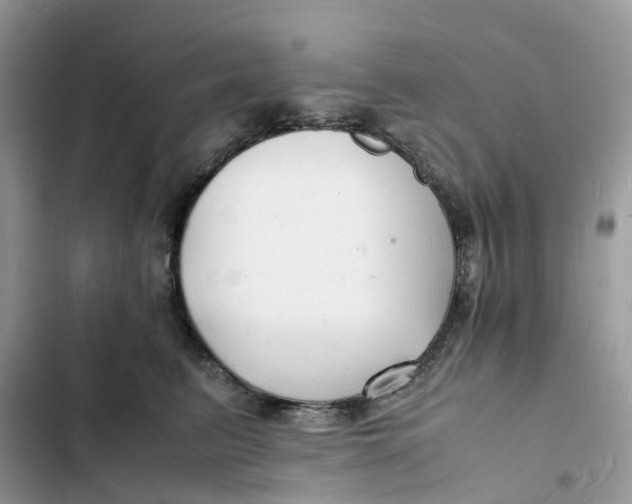 X0000103290615200809191832