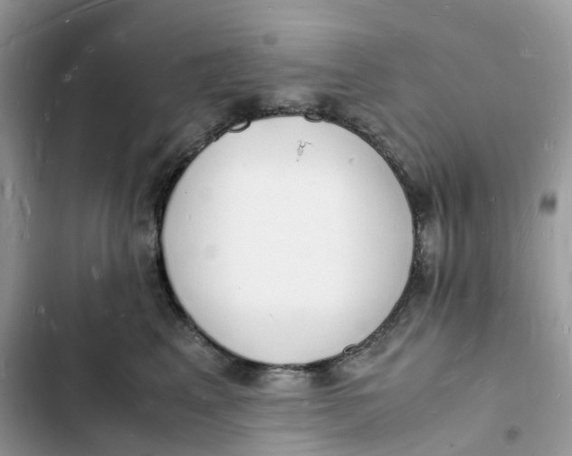 X0000103290617200809191832