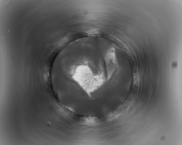 X0000103290618200809191832