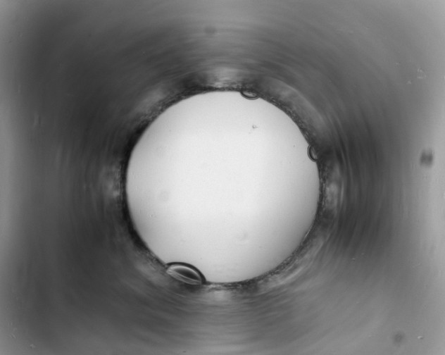 X0000103290620200809191832