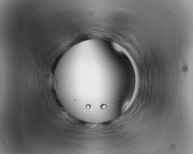 X0000103290621200809191831