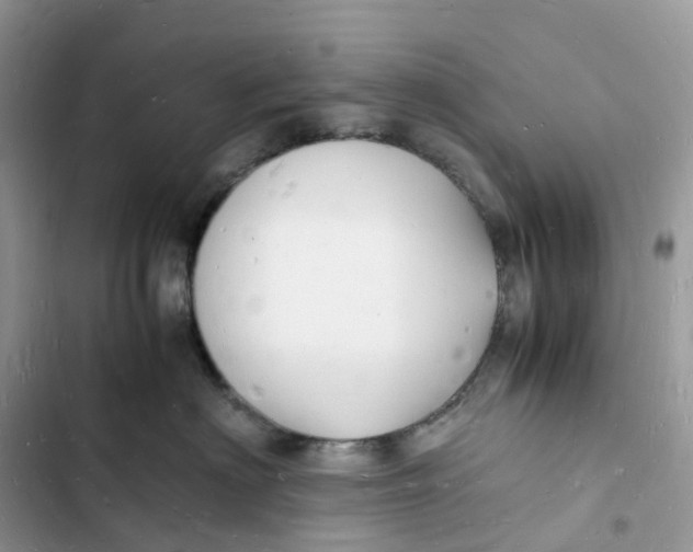 X0000103290622200809191831