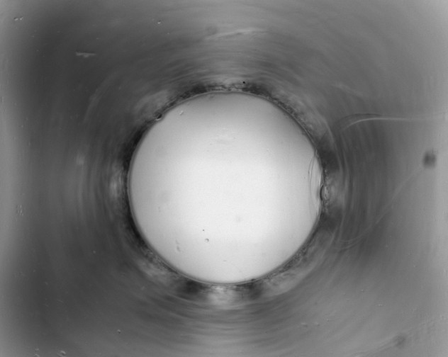 X0000103290623200809191831