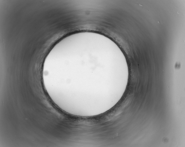 X0000103290625200809191831