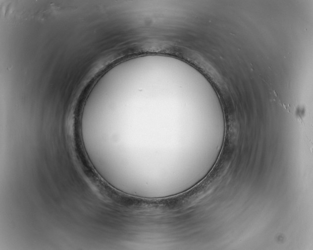 X0000103290626200809191831