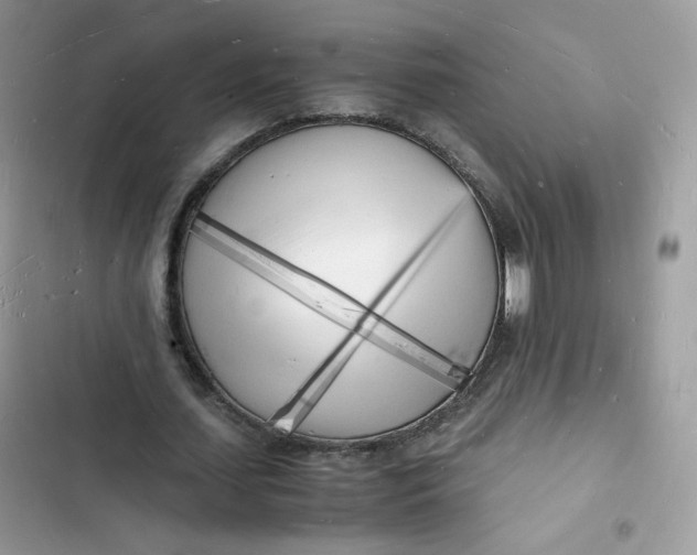 X0000103290627200809191831