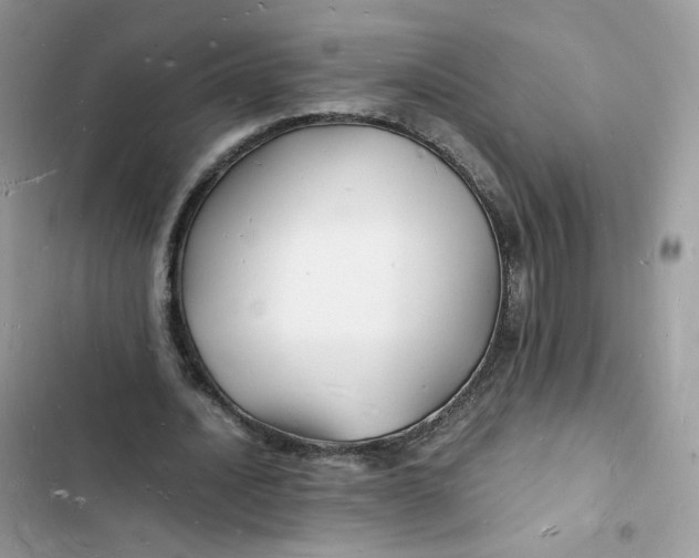 X0000103290628200809191831