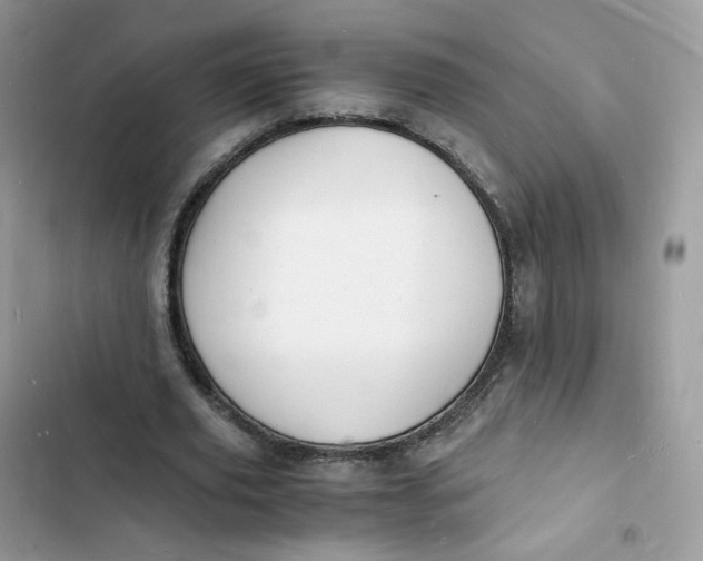 X0000103290629200809191831