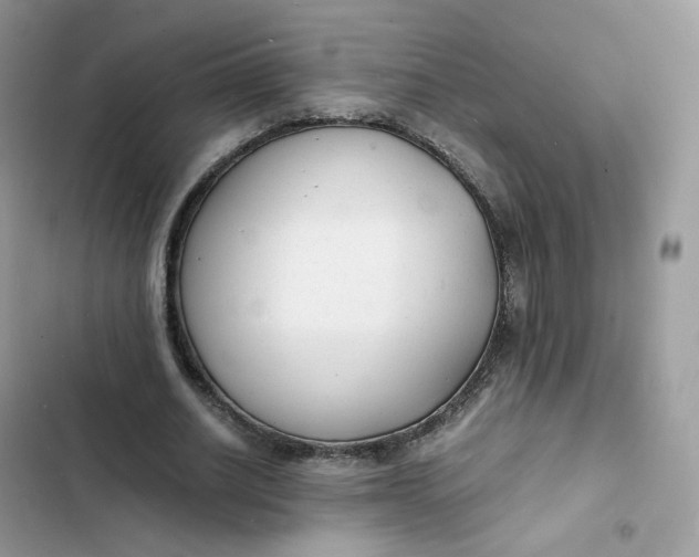 X0000103290630200809191831