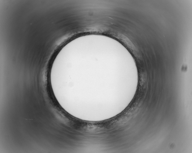 X0000103290632200809191831