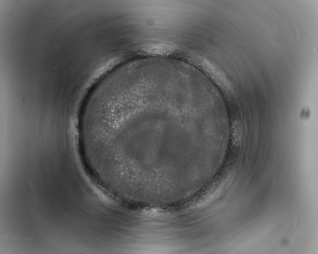 X0000103290634200809191831