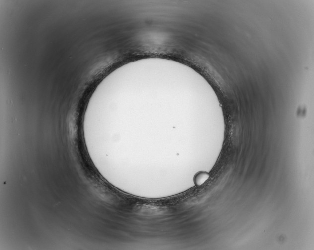 X0000103290635200809191831