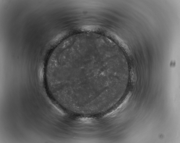 X0000103290637200809191831