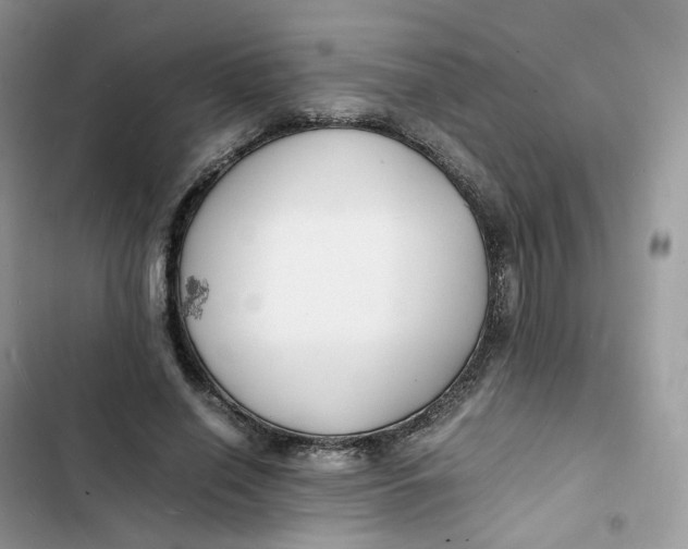 X0000103290638200809191831