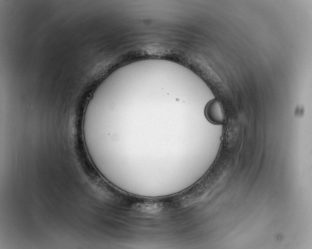 X0000103290639200809191831