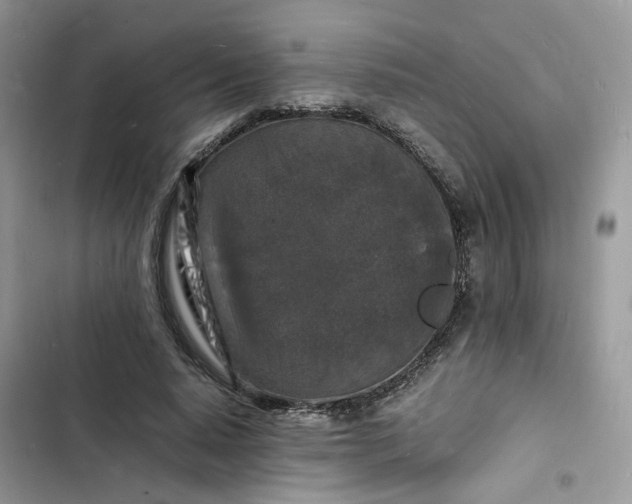 X0000103290640200809191831