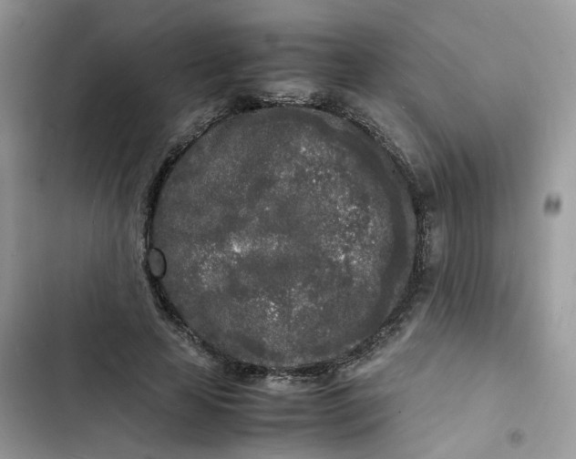 X0000103290641200809191831