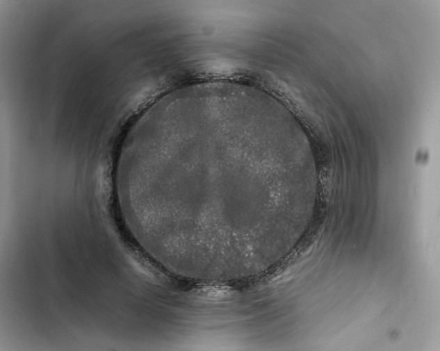 X0000103290642200809191831