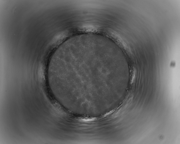 X0000103290643200809191831