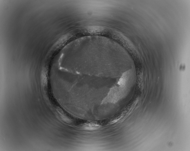 X0000103290644200809191831