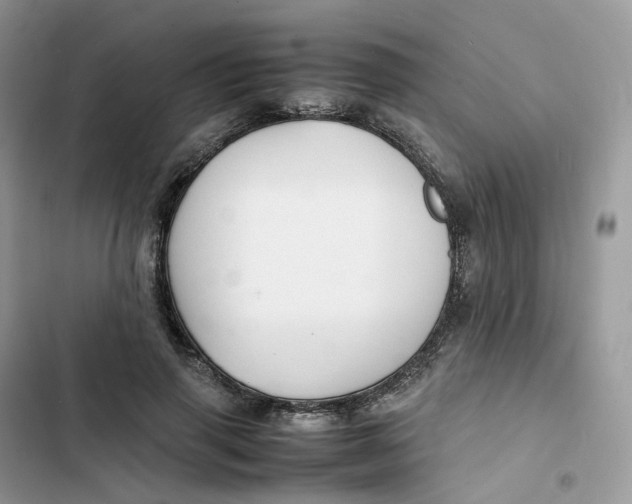 X0000103290645200809191831