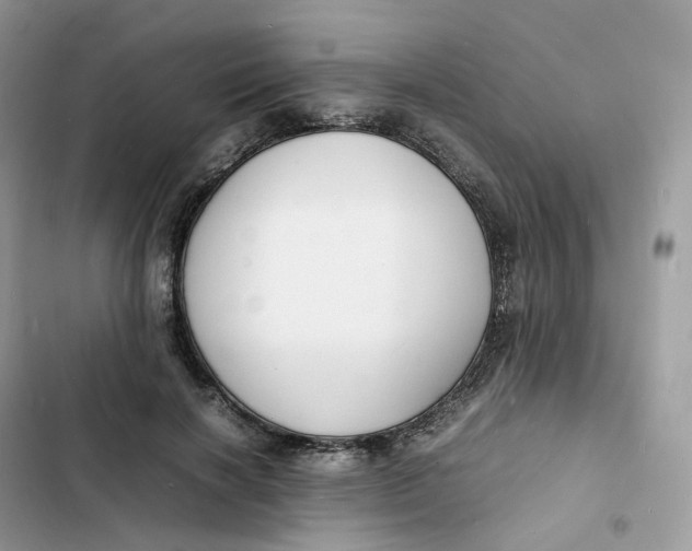 X0000103290646200809191831