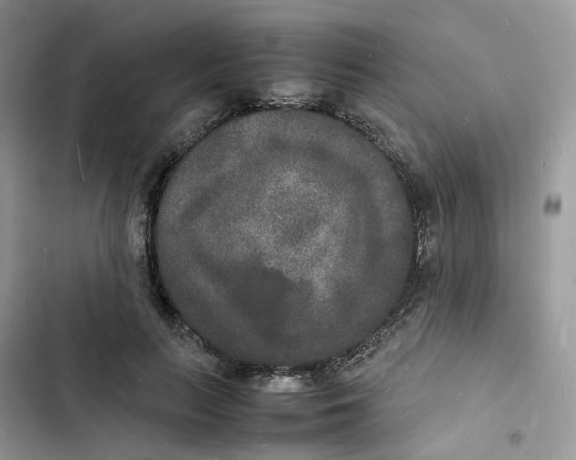 X0000103290647200809191831