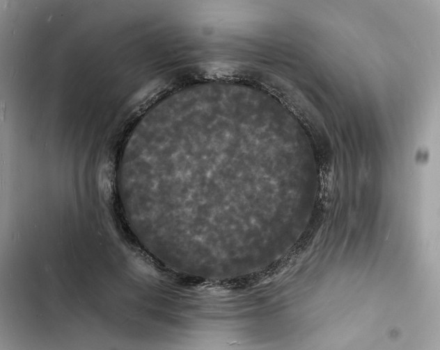 X0000103290648200809191831