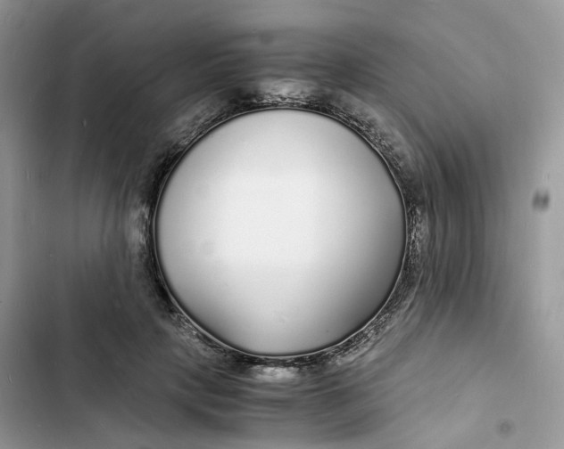 X0000103290649200809191831