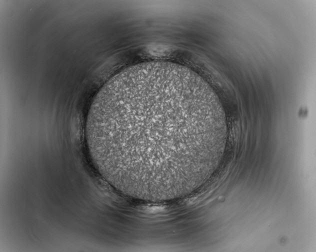 X0000103290651200809191831