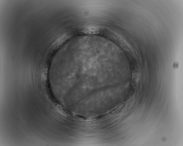 X0000103290652200809191831