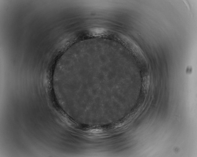 X0000103290653200809191831