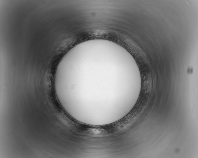 X0000103290654200809191831