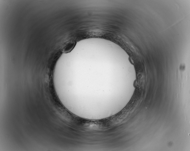 X0000103290655200809191831