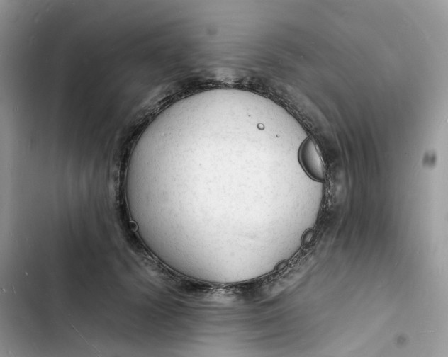 X0000103290656200809191831