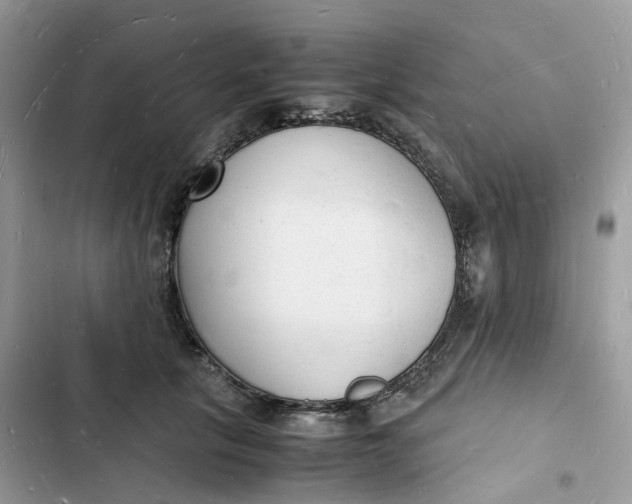 X0000103290657200809191831