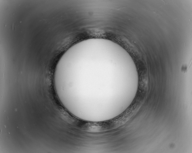 X0000103290658200809191831