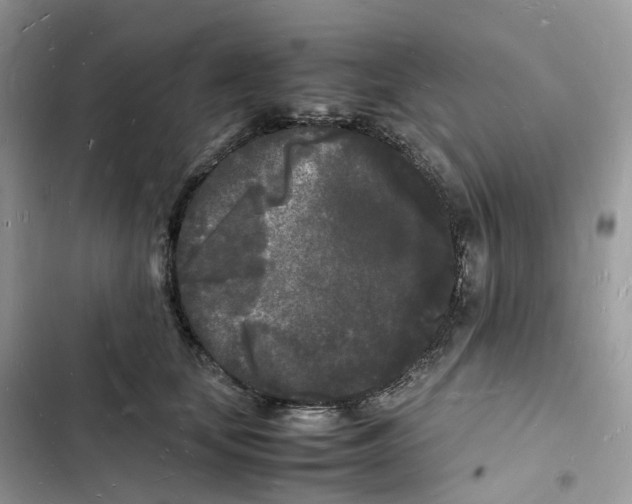 X0000103290659200809191831