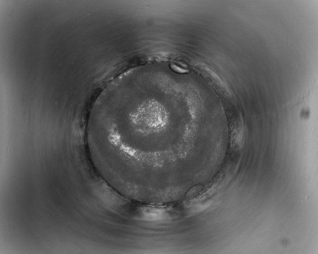 X0000103290661200809191831