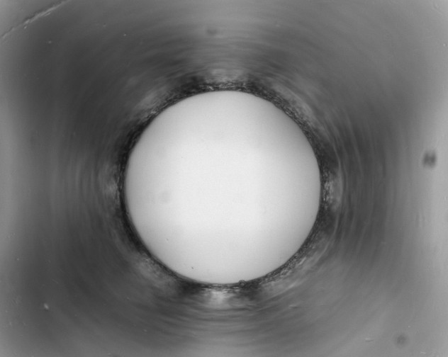 X0000103290662200809191831