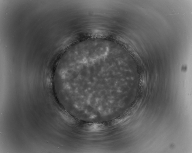 X0000103290663200809191831