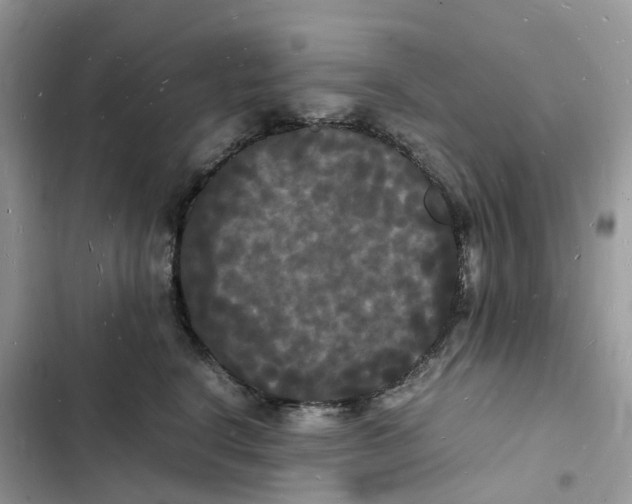 X0000103290664200809191831